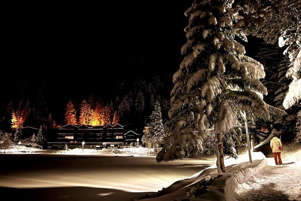 Superbe Appartement Champex-Lac Avec Piscine Et Sauna Exteriör bild